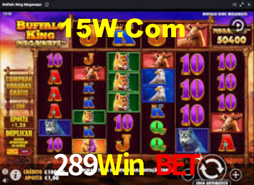 289Win Vip